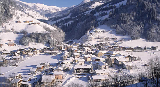 Gro&szlig;arl im Winter